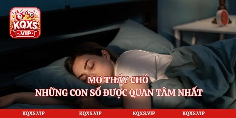 Mơ Thấy Chó – Những Con Số Được Quan Tâm Nhất