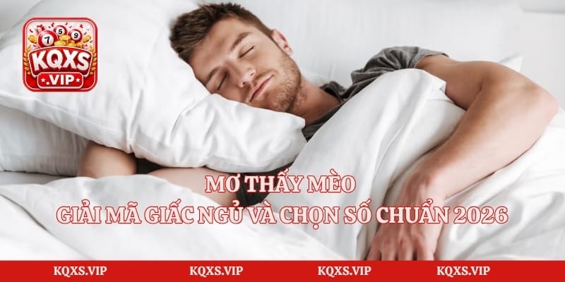 Mơ Thấy Mèo – Giải Mã Giấc Ngủ Và Chọn Số Chuẩn 2026