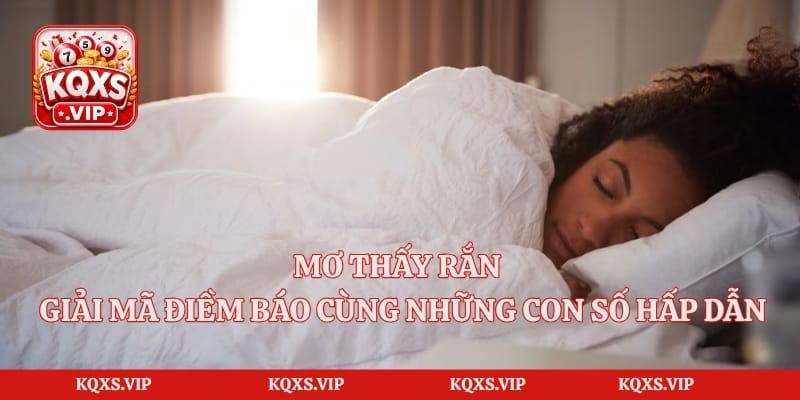Mơ Thấy Rắn – Giải Mã Điềm Báo Cùng Những Con Số Hấp Dẫn